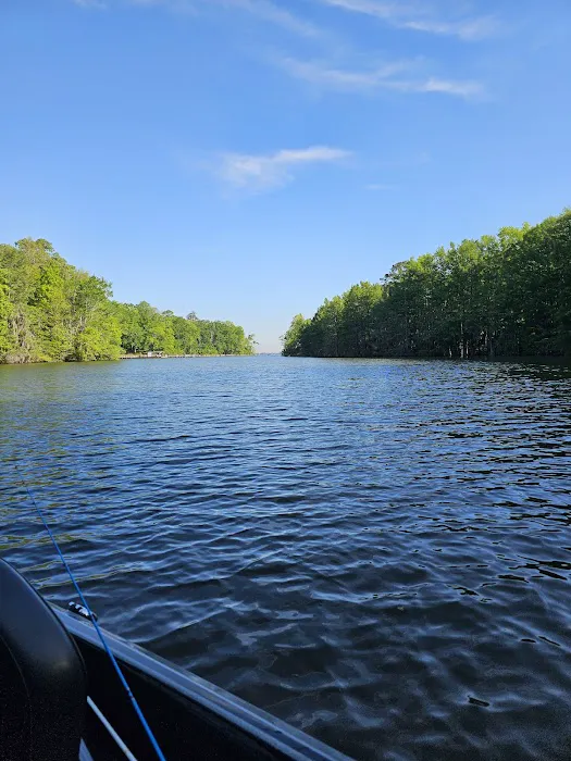 Lake Marion Resort and Marina Picture 6