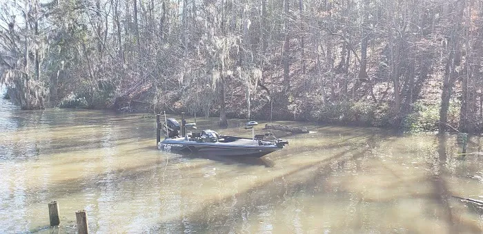 Lake Marion Resort and Marina Picture 8