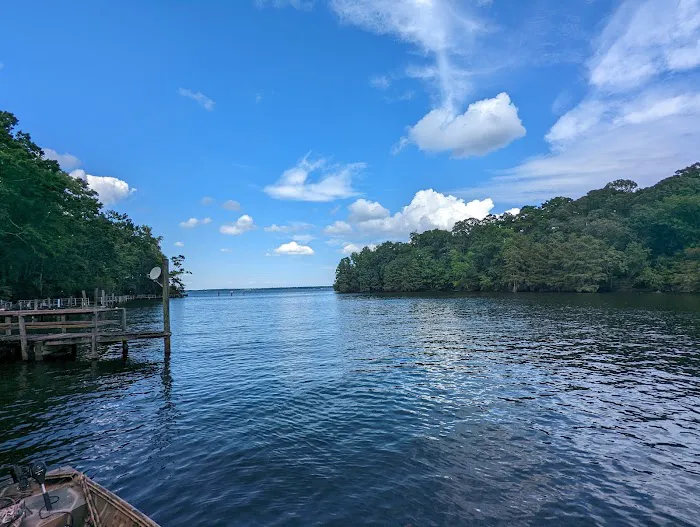 Lake Marion Resort and Marina Picture 7