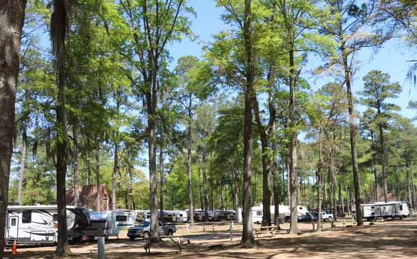 Santee / Santee Lakes KOA Journey Picture 7