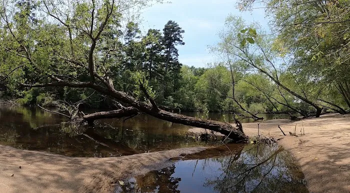 Edisto Refuge (Treehouse Island) Picture 1