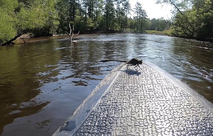 Edisto Refuge (Treehouse Island) Picture 4