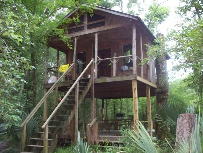Edisto Refuge (Treehouse Island) Picture 3