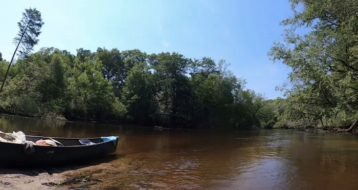 Edisto Refuge (Treehouse Island) Picture 2