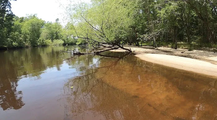 Edisto Refuge (Treehouse Island) Picture 6