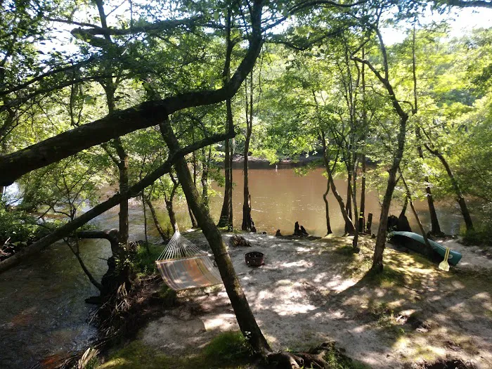 Edisto Refuge (Treehouse Island) Picture 5