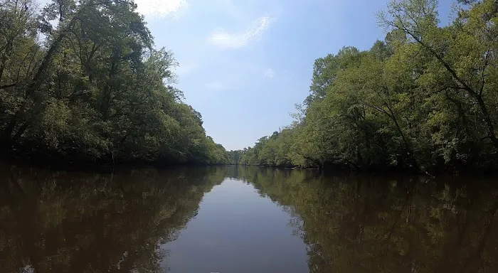 Edisto Refuge (Treehouse Island) Picture 8