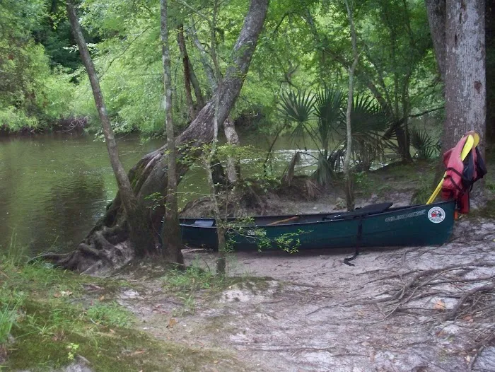 Edisto Refuge (Treehouse Island) Picture 9
