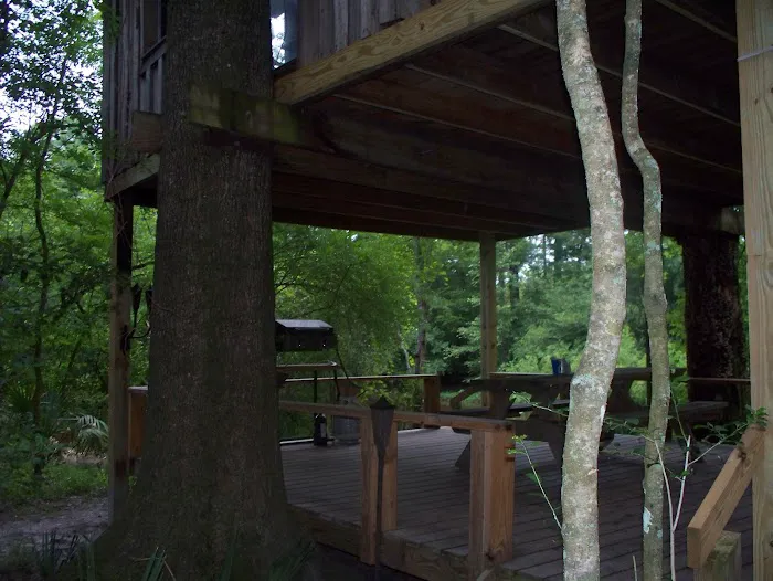 Edisto Refuge (Treehouse Island) Picture 10