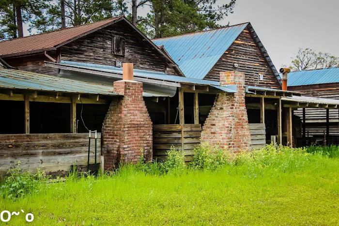 Indian Field Campground Picture 1