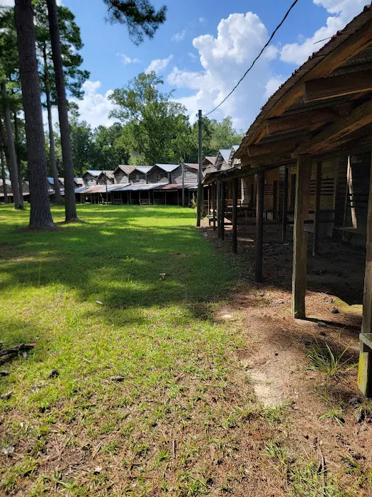 Indian Field Campground Picture 3