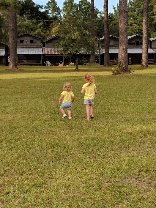 Indian Field Campground Picture 5