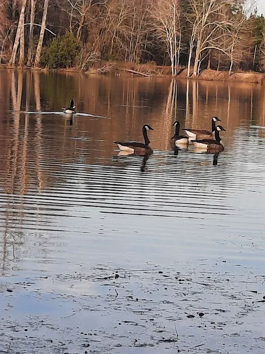 Diamond Lakes Campground Picture 3