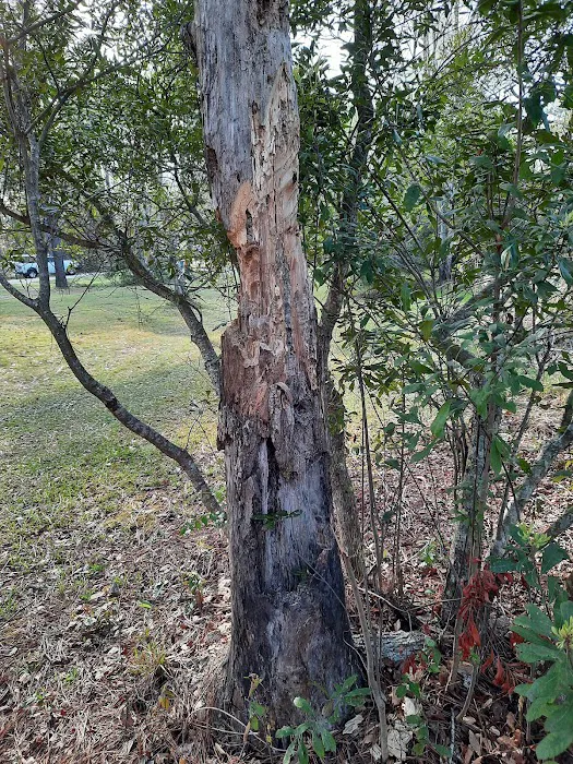 Diamond Lakes Campground Picture 6