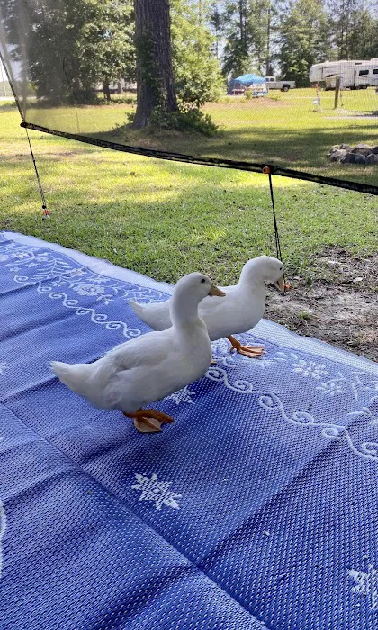 Diamond Lakes Campground Picture 7