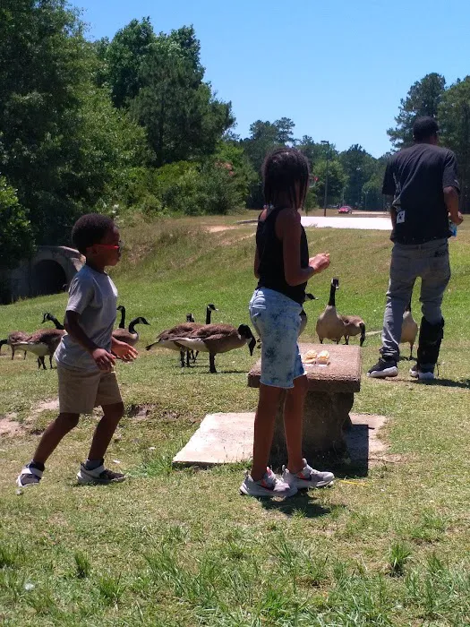 Diamond Lakes Campground Picture 10