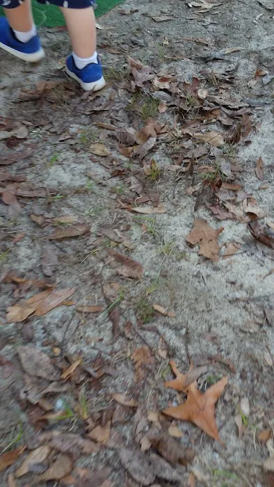 Mount Moriah Campgrounds Picture 2