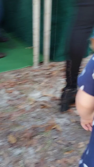 Mount Moriah Campgrounds Picture 8