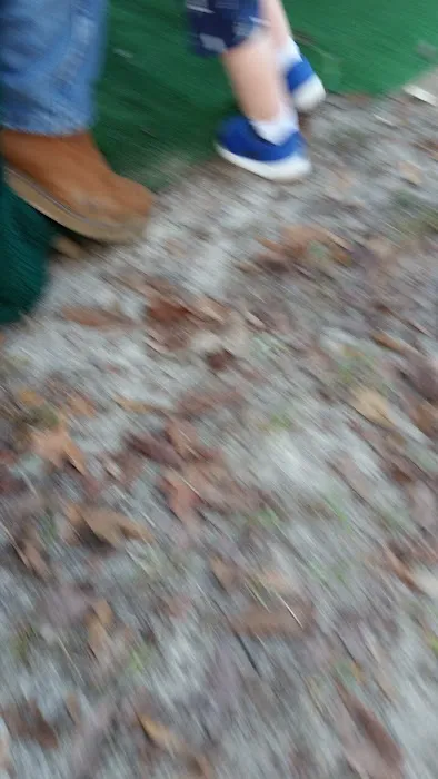 Mount Moriah Campgrounds Picture 5