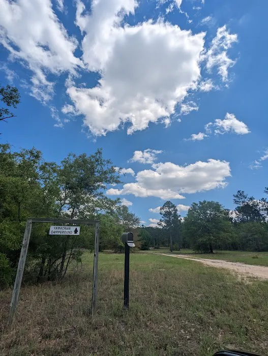 Yamacraw Campground Yuchi WMA Picture 3