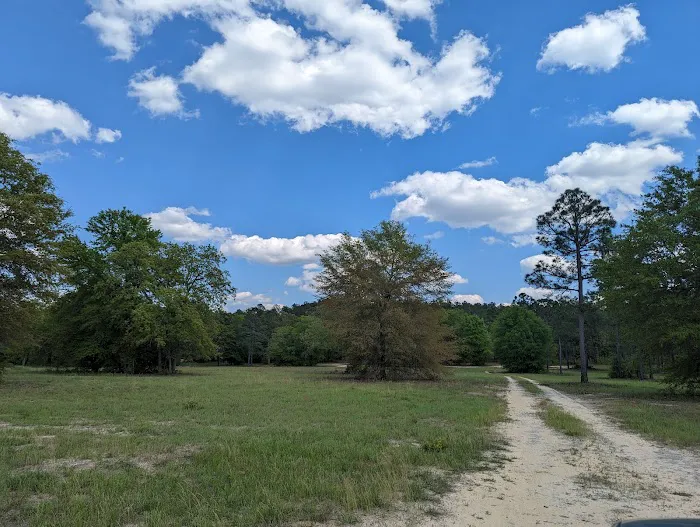 Yamacraw Campground Yuchi WMA Picture 1