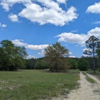 Yamacraw Campground Yuchi WMA ico