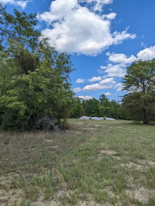 Yamacraw Campground Yuchi WMA Picture 2