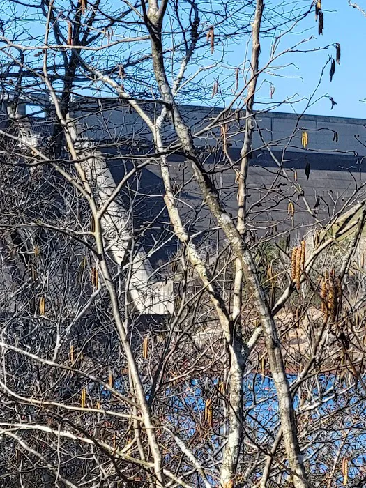 Georgia River Campground Picture 5