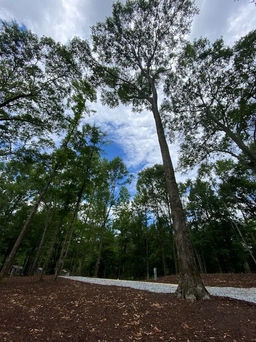 Hartwell Cabins and RVs Picture 4