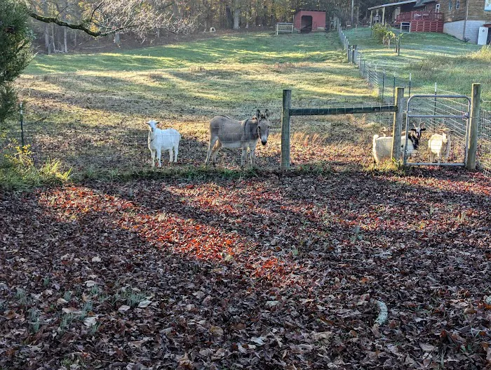 Tiny Home Near Carlton Picture 3