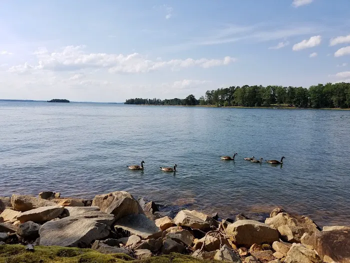 Singing Pines Picture 4