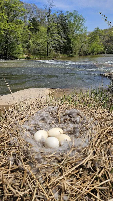 South Fork River Cabin Picture 9