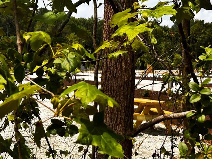 Basecamp Hartwell Picture 8