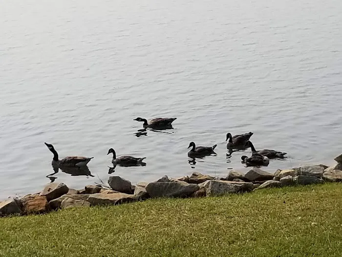 Springfield Campground Picture 9