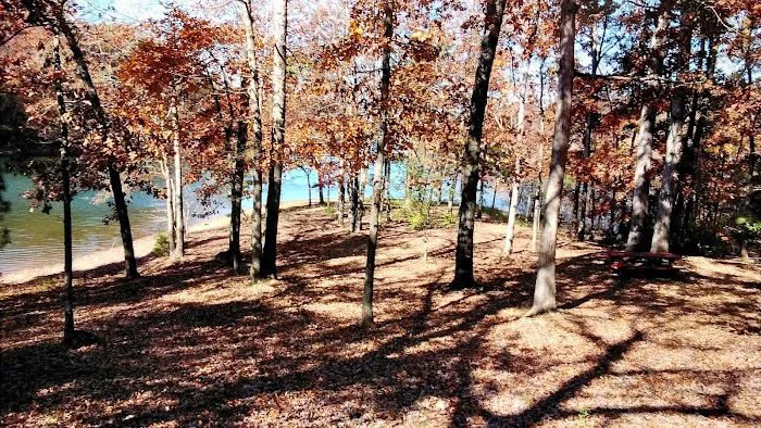 Lake Hartwell Campground LLC Picture 8