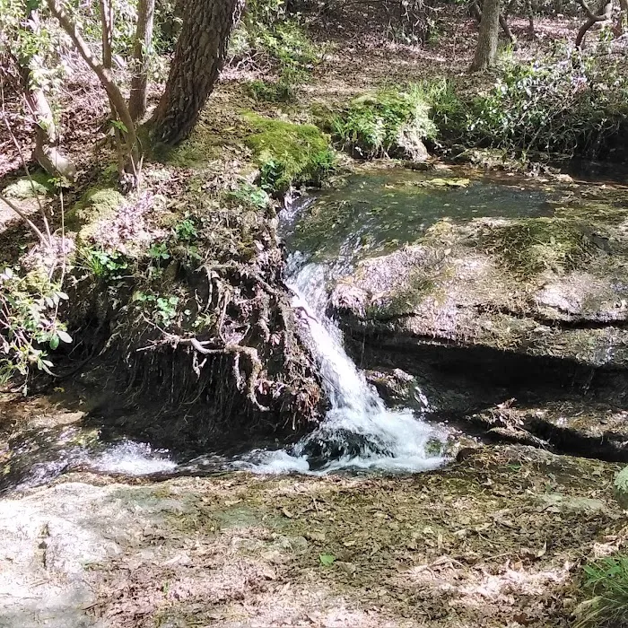 Hartwell Lakeside KOA Holiday Picture 5