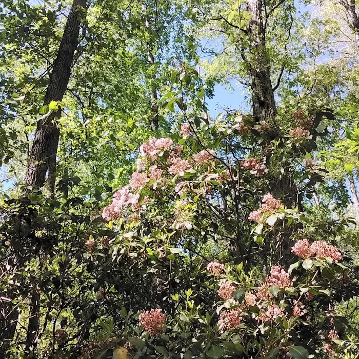 Hartwell Lakeside KOA Holiday Picture 7