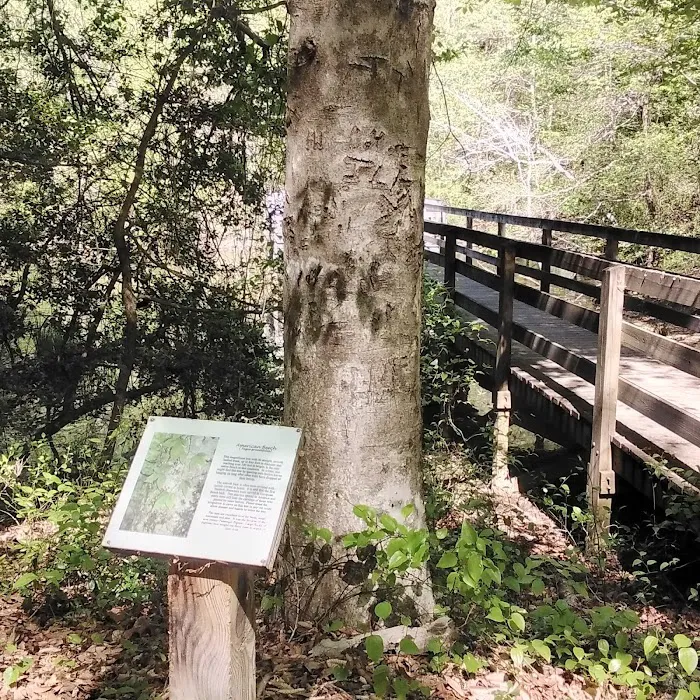 Hartwell Lakeside KOA Holiday Picture 9