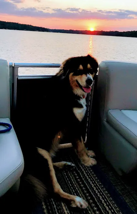 Viewpoint RV Park. Picture 10