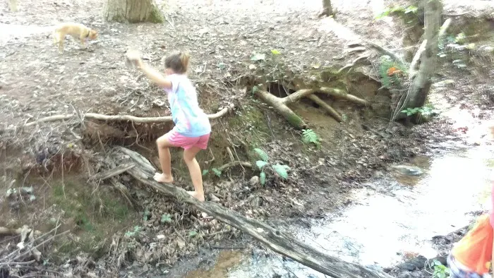 Poplar Springs Campgrounds Picture 6