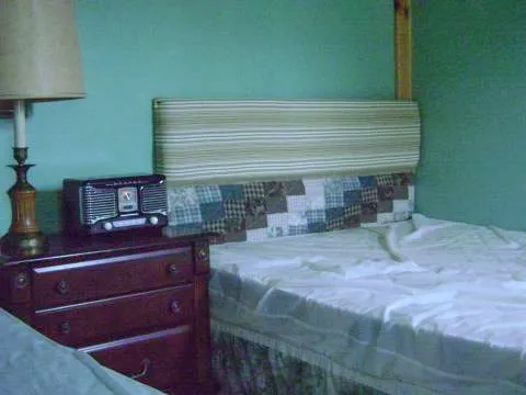 In The Woods Picture 1