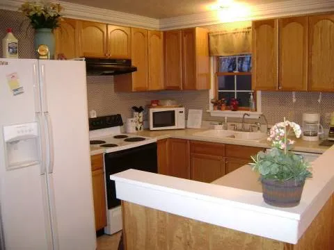 In The Woods Picture 3