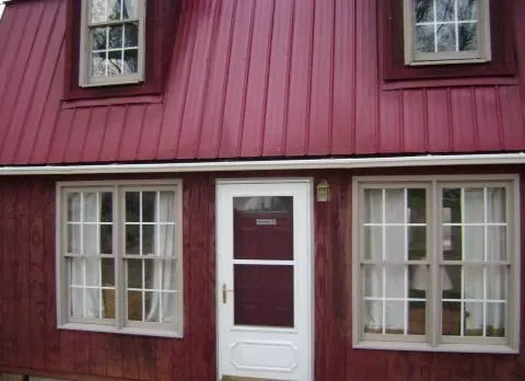 In The Woods Picture 4