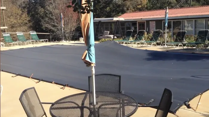 In The Woods Picture 9