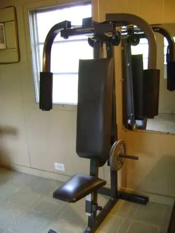 In The Woods Picture 7