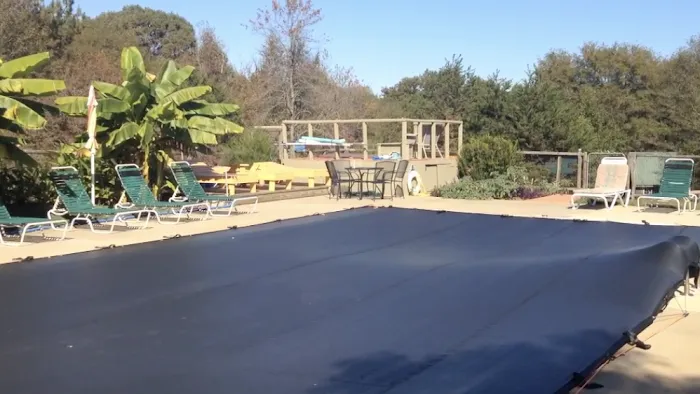 In The Woods Picture 8