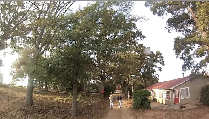 In The Woods Picture 10