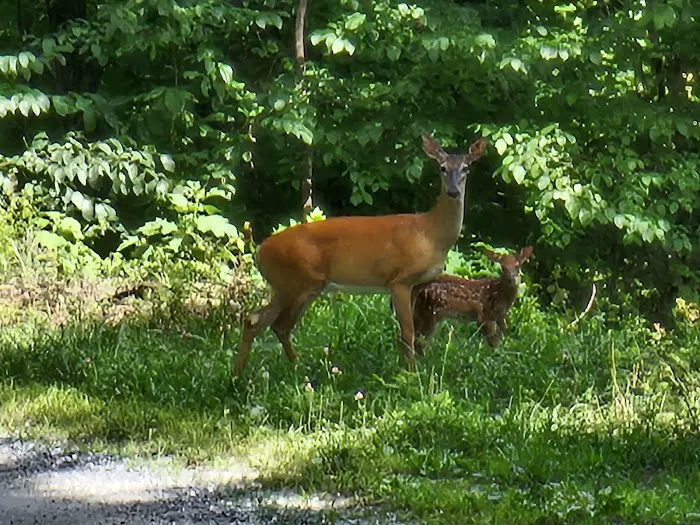 Hide Away Hill Acres Picture 3