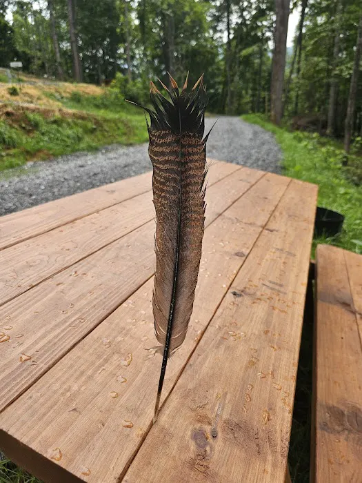 Hide Away Hill Acres Picture 7