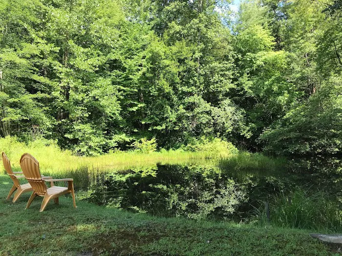 Holly Cove RV Resort Picture 5